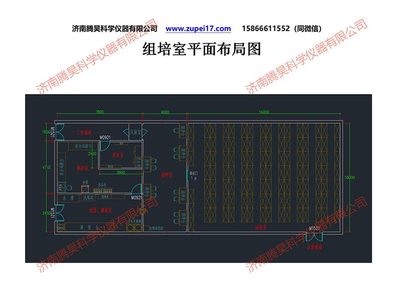 香蕉视频污下载室