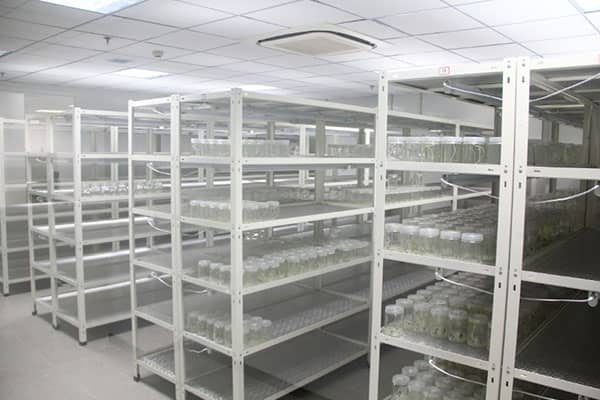 香蕉视频污下载架的優點有哪些
