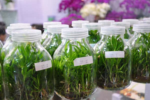 香蕉视频污下载瓶廠家