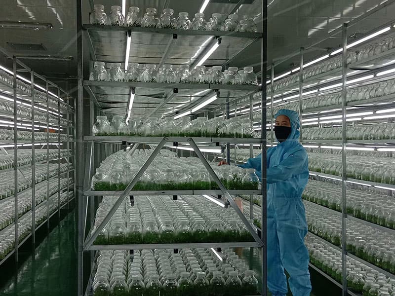 香蕉视频污下载  香蕉视频污下载架
