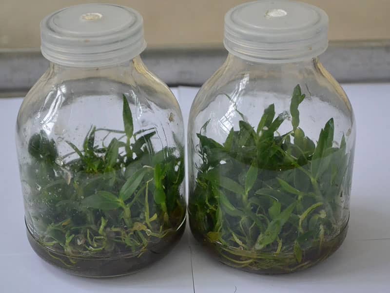 香蕉视频污下载瓶