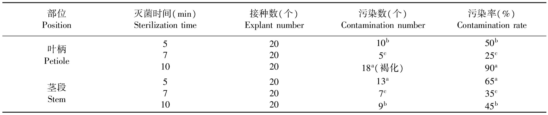 植物香蕉视频污下载設備