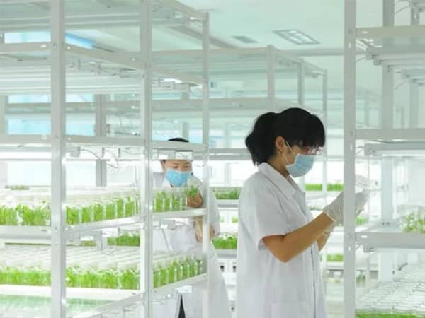香蕉视频污下载室設計