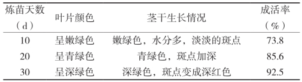 香蕉视频污下载室設計
