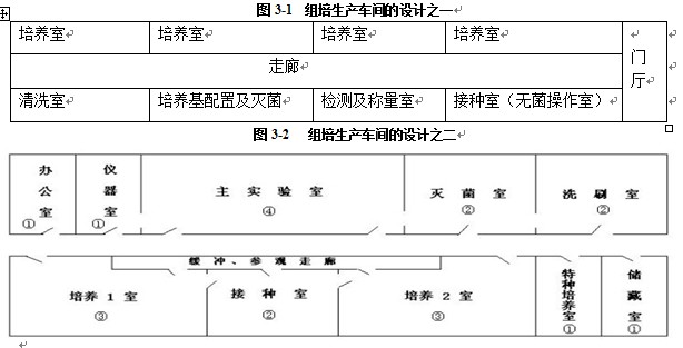 香蕉视频污下载室設計
