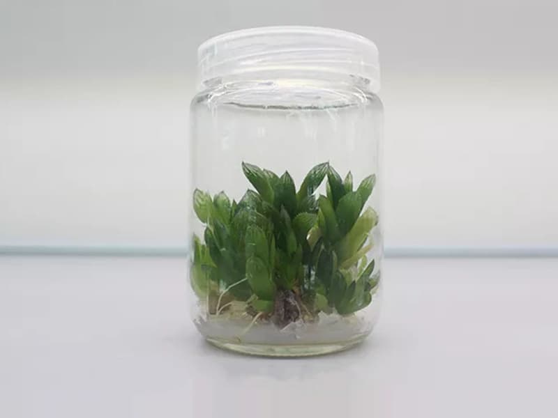 香蕉视频污下载  香蕉视频污下载瓶