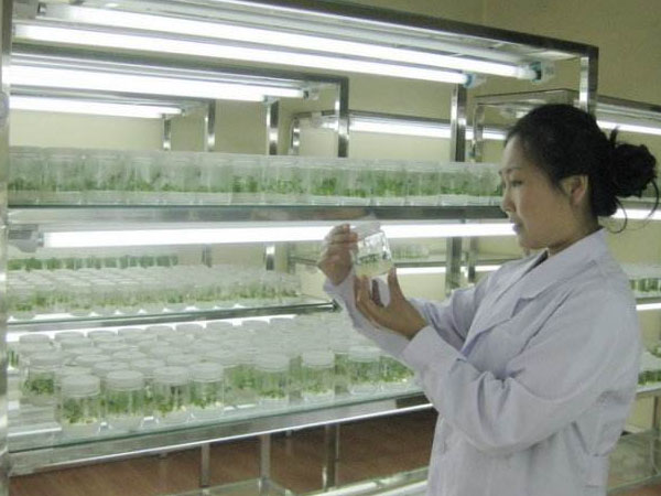 香蕉视频污下载