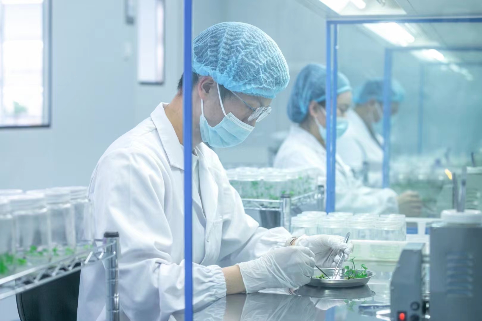 滅菌器  香蕉视频污下载滅菌鍋  高壓滅菌設備
